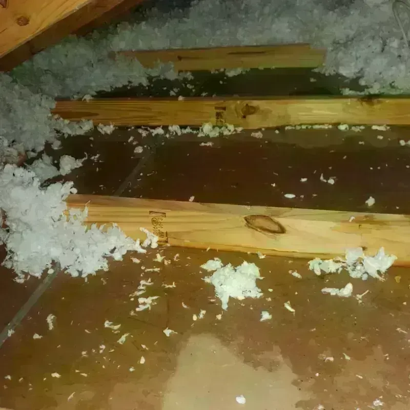 Attic Water Damage in Jackson, SC