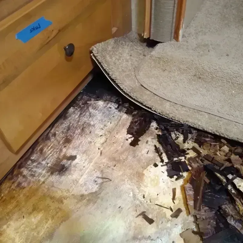 Wood Floor Water Damage in Jackson, SC